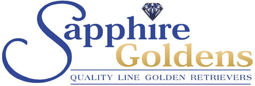 Sapphire Goldens